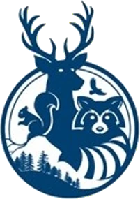 North Country Insurance wildlife emblem: deer, raccoon, squirrel, and eagle among pines