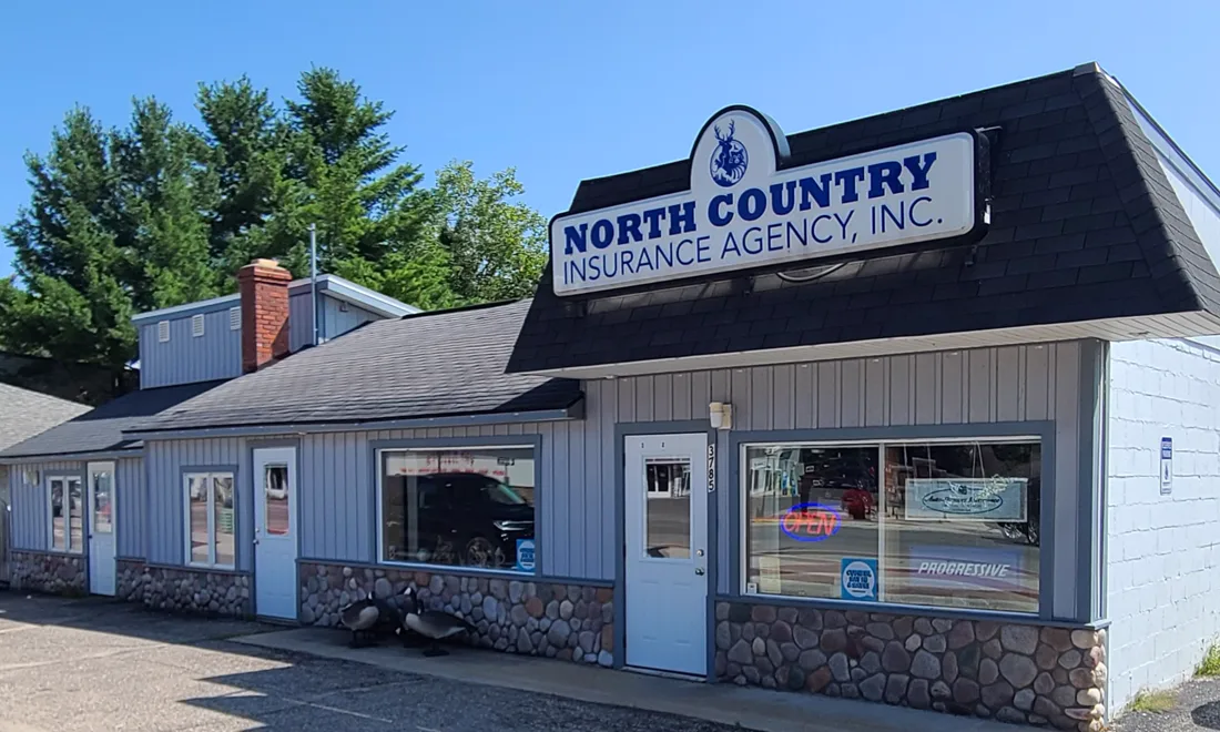 The North Country Insurance Agency storefront on South Straits Highway in Indian River, Michigan, with its lit sign and two Canada geese by the front door